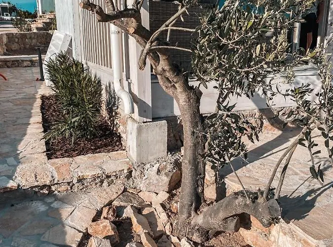 Eva House I & Ii Buqez - Private Sauna Or Whirlpool * Драге